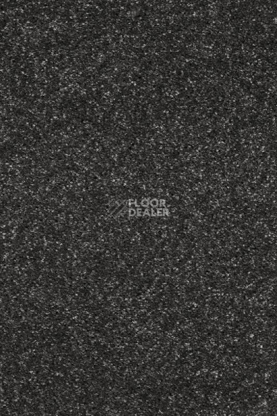 Ковролин AW Invictus Atticus Atticus 97 фото 1 | FLOORDEALER